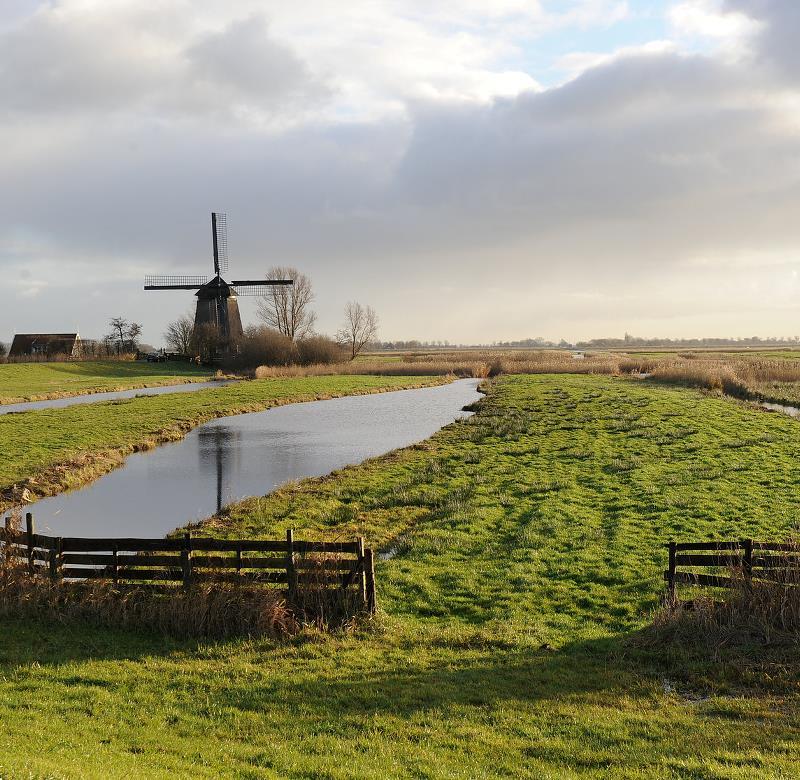 platteland met een molen op de achtergrond